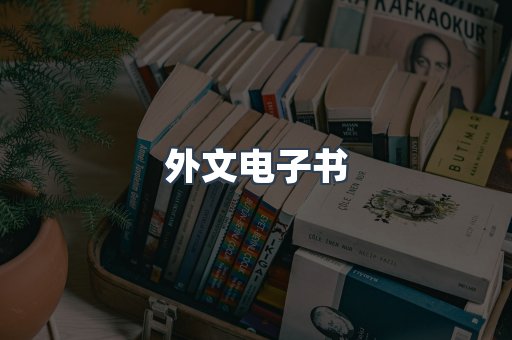 外文电子书